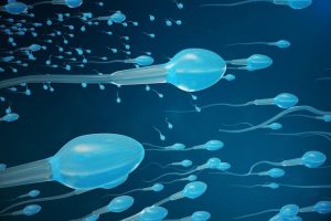 донорство спермы в Симферополе