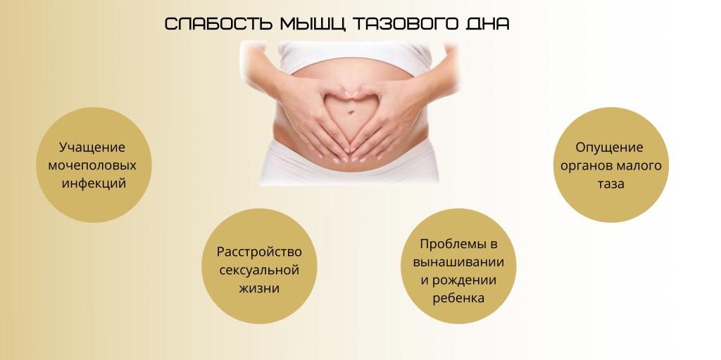 Беременность и мышцы тазового дна